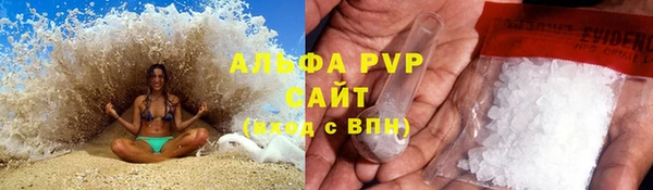 ECSTASY Белокуриха