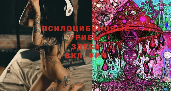 бошки Верхний Тагил