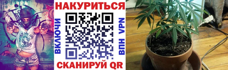 Шишки марихуана Amnesia  закладки  Туран 